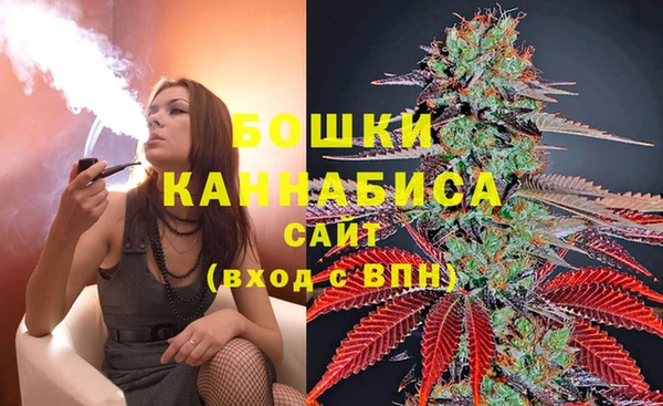 гидра Осинники