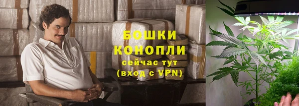 гидра Осинники