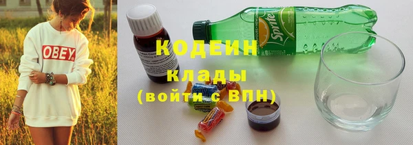 гидра Осинники