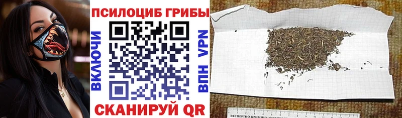 Галлюциногенные грибы мухоморы  blacksprut вход  Уржум 